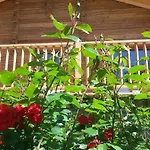 Des Roses
