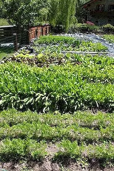 Des Roses Antey-Saint-André