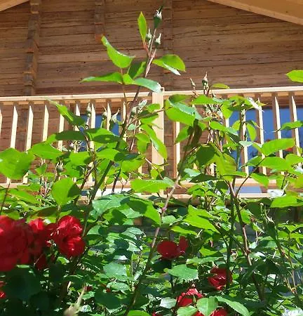 Des Roses